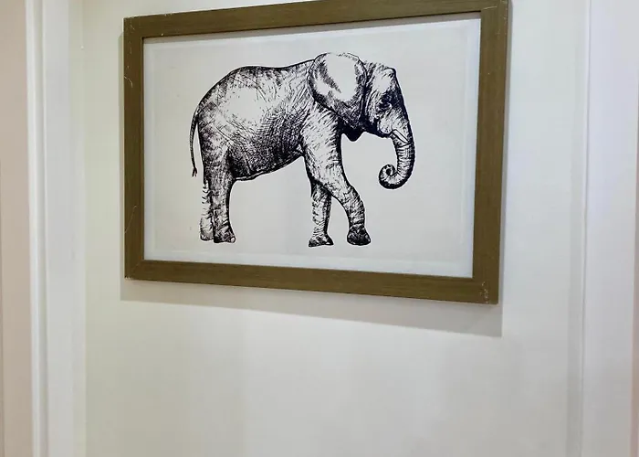 Sol Y Sombra * Κοραλέχο