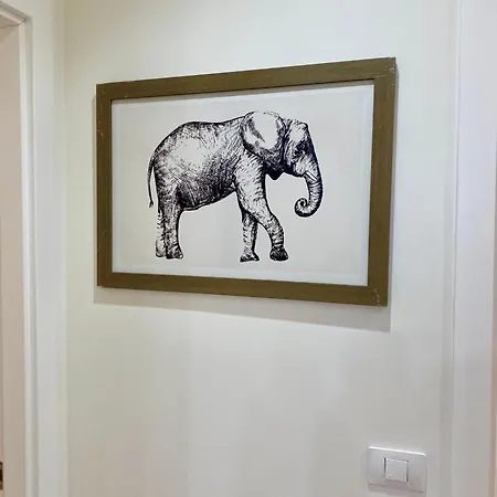 Sol Y Sombra * Corralejo